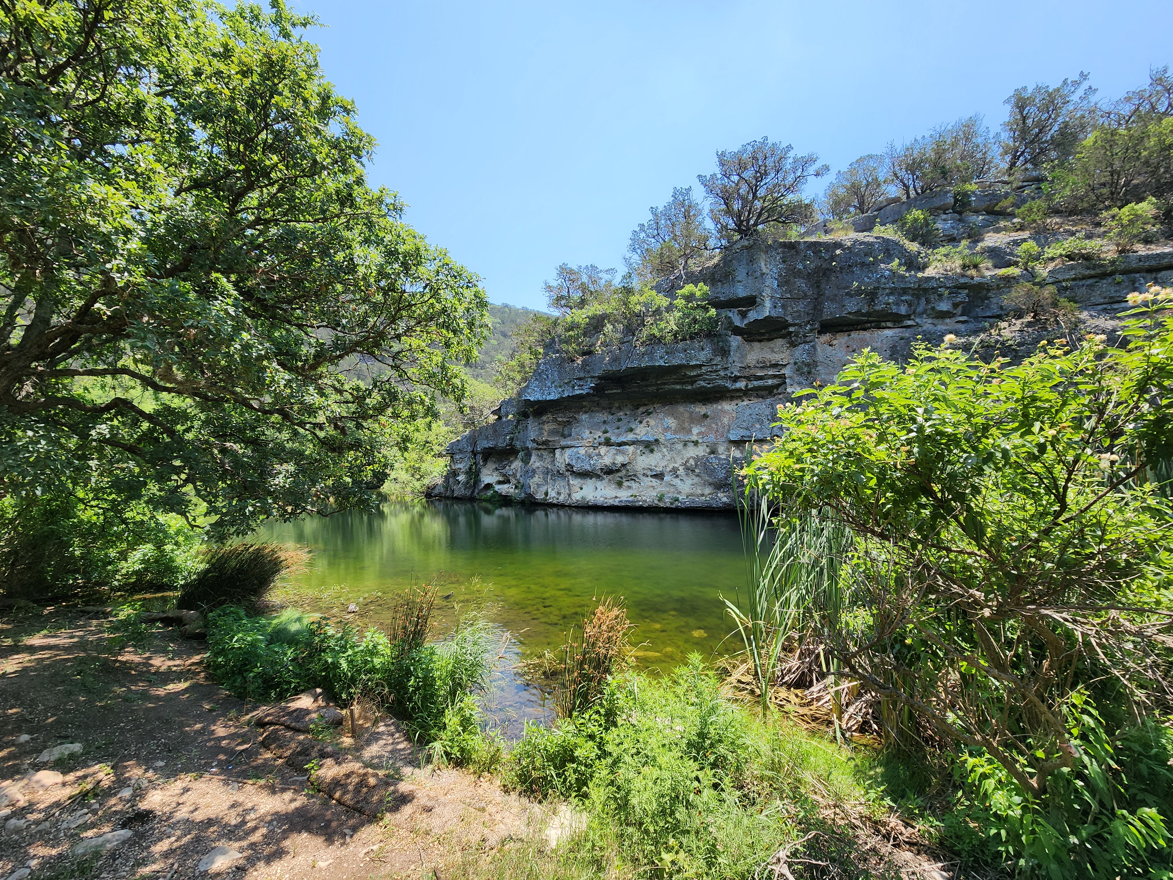 Summer creek at Lost Maples