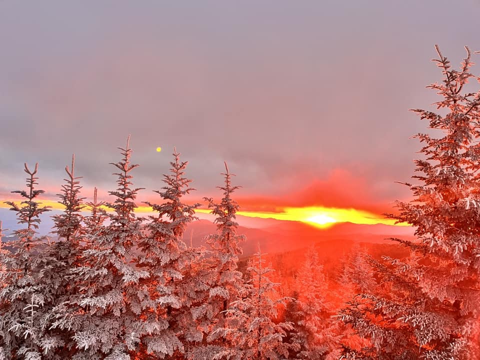 Sunset glow over frosted trees