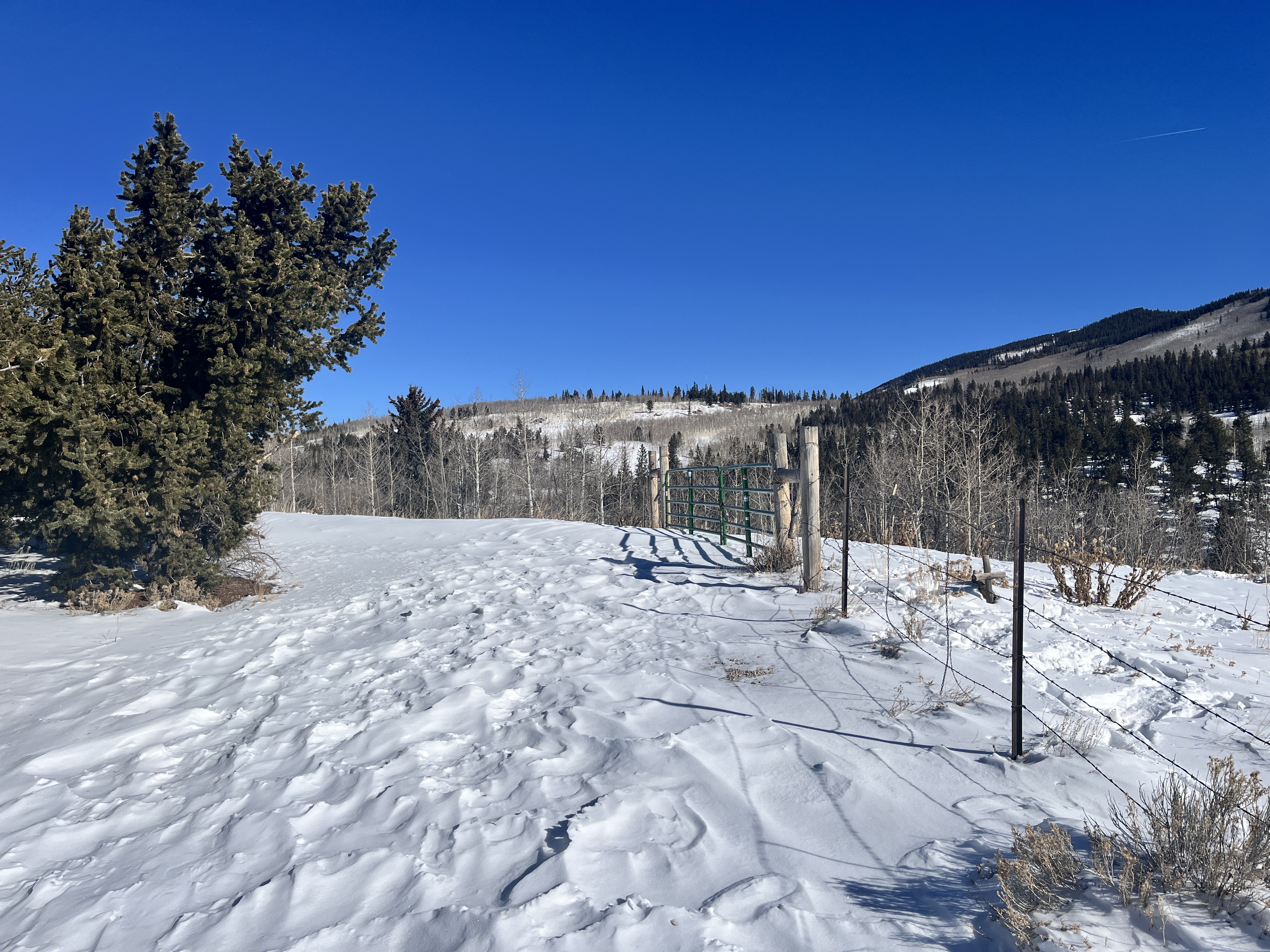 Snowy trail in Rocky Mountains