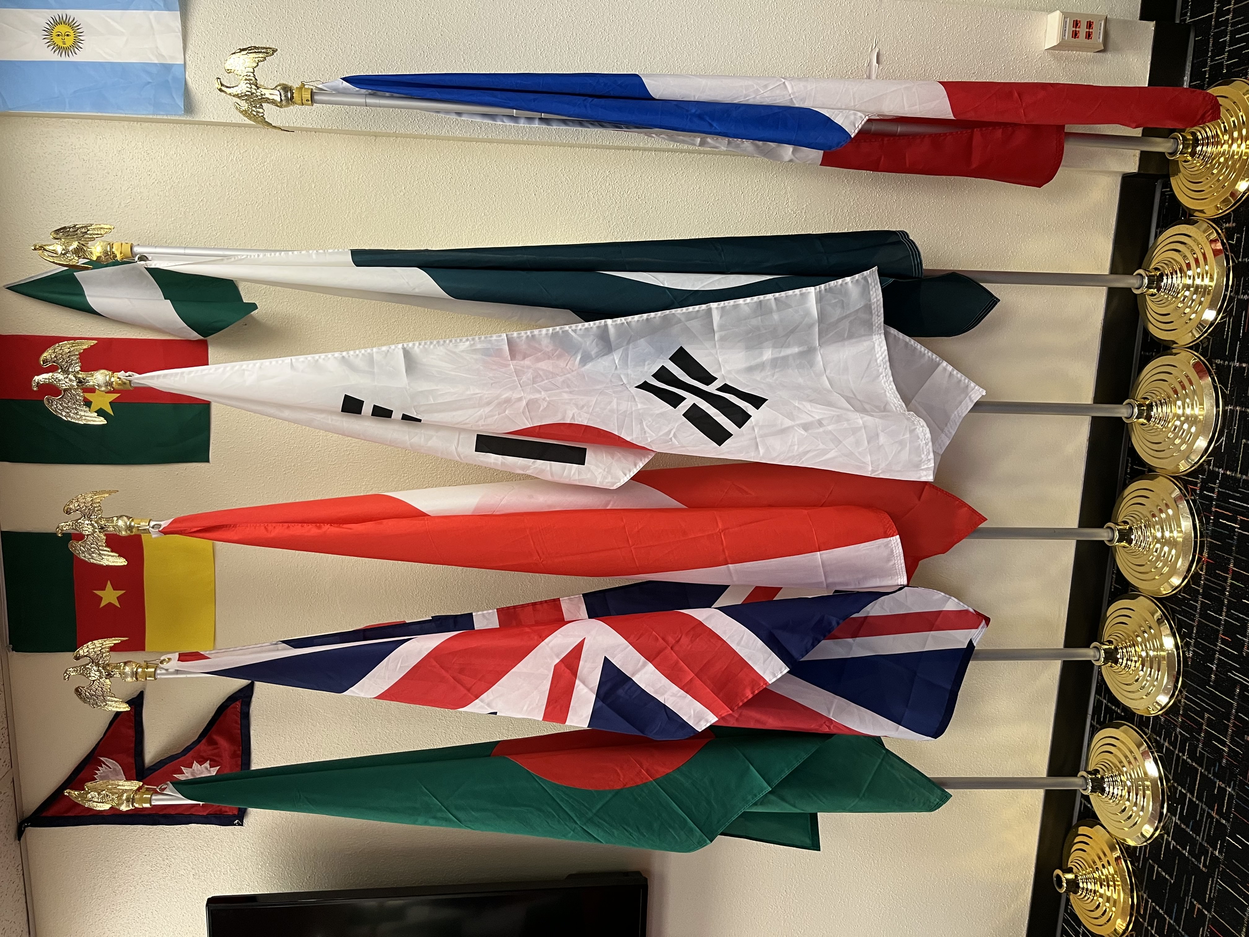 Flags Representing Cultural Diversity